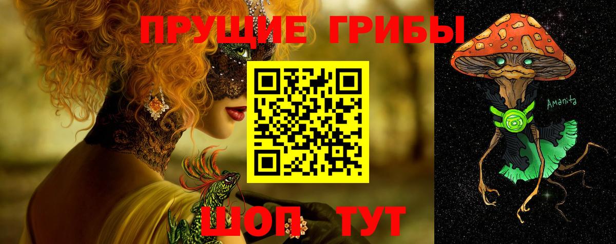 Галлюциногенные грибы GOLDEN TEACHER Славянск-на-Кубани