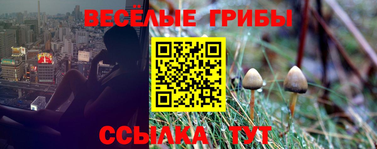 Славянск-на-Кубани  Псилоцибиновые грибы Magic Shrooms  Вход с VPN  купить  цена  Псилоцибиновые грибы Psilocybe 